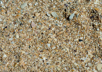 texture of stone