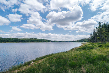 Beautiful scandinavia like landscape of Jizerske hory. Mountain lake in the forest, blue sky with white clouds. Green grass and lake in the outdoors. Cerna Nisa dam, Jizerske mountains.