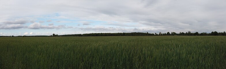 panoramic Environment freshness at village with clouds and natural elements around