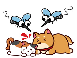 ペットに集まる蚊　犬猫