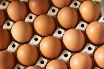 brown eggs in a row