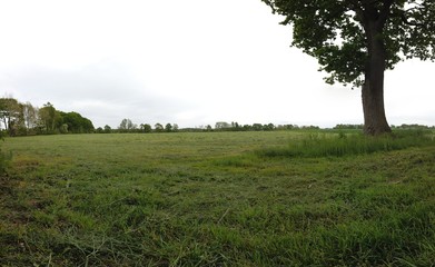 panoramic Environment freshness at village with clouds and natural elements around