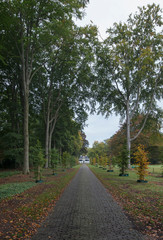Fototapeta na wymiar Estate, Fall. Autumn. Huis Westerbeek. Maatschappij van Weldadigheid Frederiksoord Drenthe Netherlands Lane