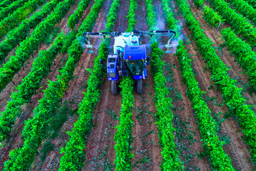 Tractor spraying vines over vineyard in Europe.