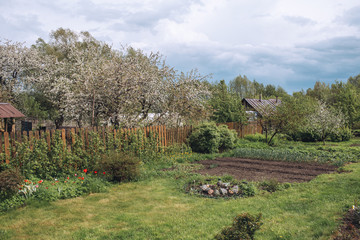 View of a back yard after rain, fresh green nature in countryside after rain in spring, flower beds...