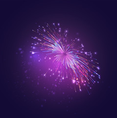 Fototapeta premium multicolored vector fireworks, explosion of joy in the sky
