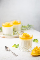 Italian dessert panna cotta with mango in glass on white background