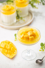 Italian dessert panna cotta with mango in glass on white background