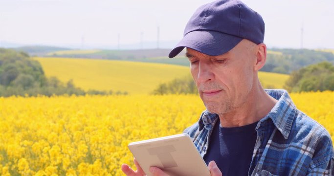 Farmer Examining Rapeseed Crops at Farm Agriculture Concept.