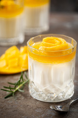 Italian dessert panna cotta with mango in glass on gray background