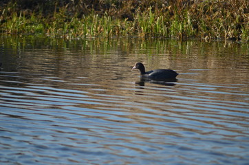 nature is resting from people