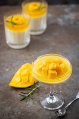 Italian dessert panna cotta with mango in glass on gray background