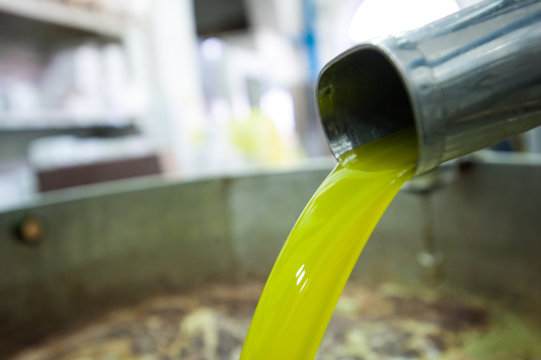 Dop bilder Bläddra bland 71,611 stockfoton, vektorer och videor