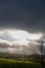 Fototapeta premium Amazing Winter Sunrise in Rural Victoria - Mansfield in Victoria, Australia. Australian landscape, road leading to a property 