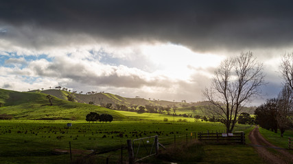 Amazing Winter Sunrise in Rural Victoria - Mansfield in Victoria, Australia. Australian landscape, road leading to a property 