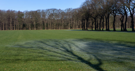 Shadows of trees in meadow.  Winter at Maatschappij van Weldadigheid Frederiksoord Drenthe Netherlands