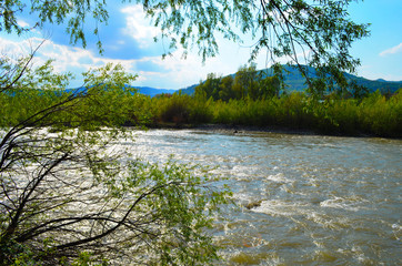 mountain river between sheer cliffs . blue clear water of the river.