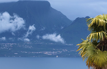 Góry Alpejskie, jezioro Lago di Garda na którym pływają jachty  i palma.