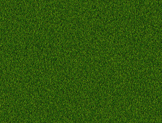 lush green grass background
