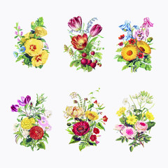 Fototapeta na wymiar Vintage flowers bouquet collection vector