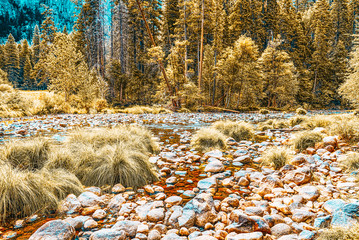 Yosemite Valley. Magnificent national American natural park - Yosemite.
