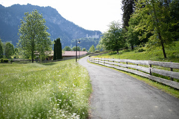 Schloss Neuschwanstein