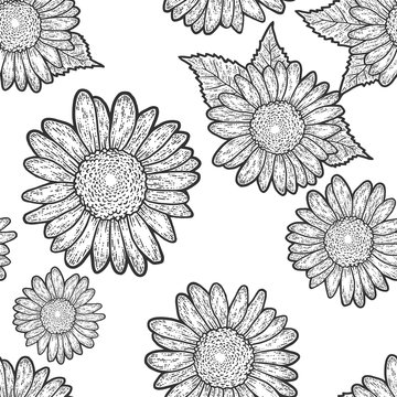 Seamless pattern. Decorative flower of a sunflower. Sketch scratch board imitation.
