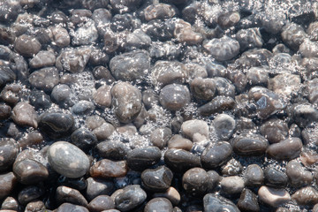 wet rocks laying in the water with sun stars