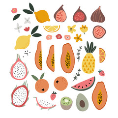 Set of abstract hand drawn shapes, flowers, tropical exotic fruit and abstract shapes. Modern artistic, minimalist design. Decorative isolated vector illustrations. Papaya, figs, lemons, dragon fruit.