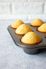 Fresh baked vanilla muffin, close up on  gray background