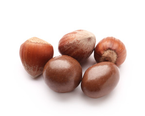 Tasty chocolate nuts on white background