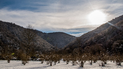 Snow-covered mountains