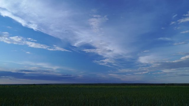timelapse of nightfall in a rapeseed field, soft white clouds highlighted by the setting sun
