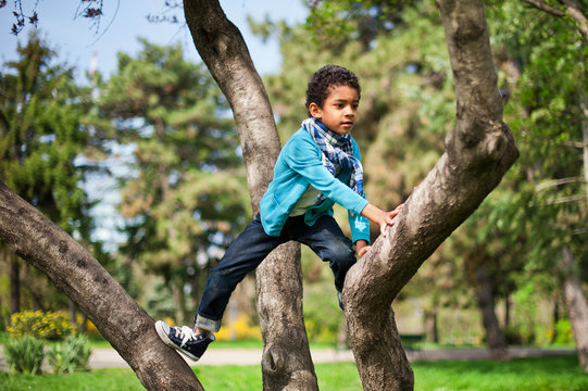 Little cute real black boy climbing on tree height in the park in springtime.