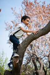 Little cute real black boy climbing on tree in the park in springtime.