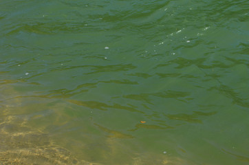 mountain river between sheer cliffs . blue clear water of the river.