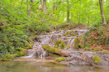 Obraz premium Cheile Nerei - Beusnita. Caras. Romania. Summer in wild Romanian river and forest. Long exposure.