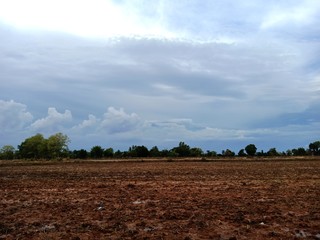 View of the rice field and divide the image into rice fields 1 part, sky 2 parts