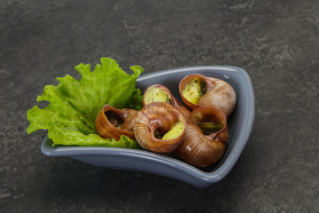 French cuisine - Escargot with sauce