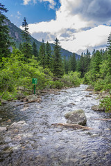 Obraz premium Poland. Tatra Mountains. Mountain stream near Morskie Oko.