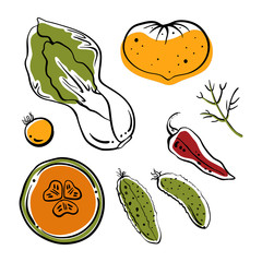Pak choi, cucumbers, tomatoes, pepper, melon. Colorful sketch collection of vegetables isolated on white background. Doodle hand drawn vegetable icons. Vector illustration
