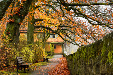 Naklejka premium Autumn park with golden leaves in old town Rothenburg ob der Tauber, Bavaria, Germany. November 2014