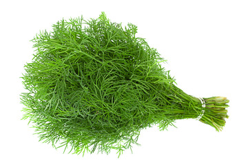 Dill herb bunch