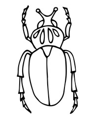 Beetle outline vector illustration, hand drawn, doodle style, coloring book page.