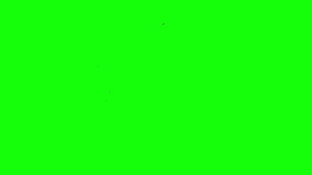 high in the sky fly a few birds on the green screen