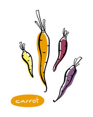 Carrots. Colorful sketch collection of vegetables isolated on white background. Doodle hand drawn vegetable icons. Vector illustration