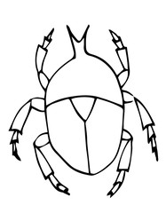 Bug outline vector, Isolated on white background, coloring page book. Insect.