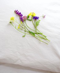 Seven flowers under he pillow, is a Scandinavian Midsummer Eve tradition. It's said you will dream about who you gonna marry.