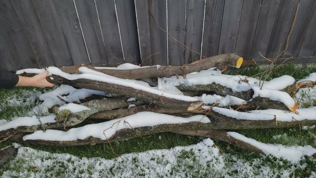 Checking logs or slabs of wood or tree branches stored as firewood for camping fire pit while covered in layer of snow.