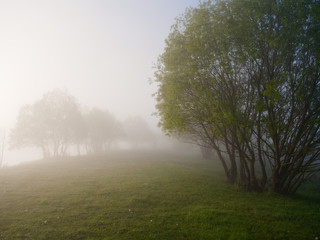 Naklejka na ściany i meble foggy morning on the river near the floodplain meadow